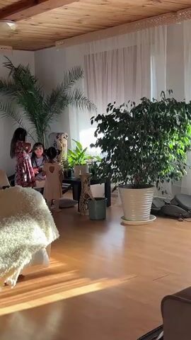 The video opens on a living room scene where two young girls are playing. Sunlight streams in from the right, casting long shadows across the wooden floor. A plush white blanket covers a portion of a cream-colored armchair in the foreground. In the middle ground, near a tall palm tree and other houseplants, the girls are interacting. The girl on the left, wearing a floral dress, appears to be holding a comb or brush and is tending to the hair of the girl on the right, who is dressed in a pale pink dress with a heart detail on the back. The girl on the right is facing away from the camera. A vacuum cleaner is visible in the background to the left of the palm tree. The room features a wooden plank ceiling with exposed beams and sheer curtains covering the windows.