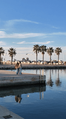 Evening social gathering at Dénia waterfront bars and marina