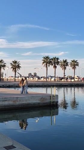 Evening social gathering at Dénia waterfront bars and marina