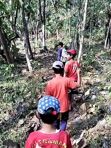 A group of people are walking single file on a dirt path through a wooded area. The trees are tall and thin with a canopy of leaves overhead. The ground is covered in dry leaves and some rocks. The first person in line is wearing a red shirt and a blue and white patterned hat. The second person is wearing an orange shirt. The third person is wearing a red shirt. The fourth person is wearing a red shirt. The fifth person is wearing a blue shirt and a white backpack. The sun is shining through the trees, casting shadows on the path. The video is shaky and appears to be handheld.