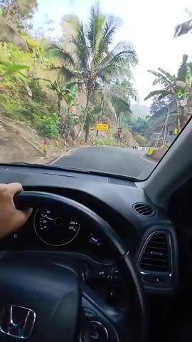 A first-person perspective video shows a person driving a car on a winding road through a lush, green, hilly area. The driver's left hand is visible on the steering wheel, and they are wearing a smartwatch. The road has a white and yellow railing along the side, and there are various types of trees, including palm trees and banana trees, along the slopes. Yellow signs with text are also visible on the side of the road. The sky is bright and appears to be daytime. The overall impression is of a scenic drive through a tropical or subtropical mountainous region.