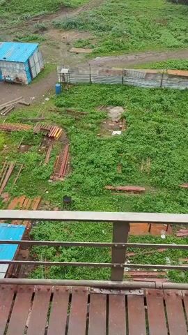 The video provides a high-angle, slightly shaky view of an outdoor area with a mix of construction materials and vegetation. In the foreground, a rusty metal railing and wooden planks suggest the viewpoint is from a balcony or elevated platform. The ground below is covered in lush green grass and various piles of reddish-brown metal beams, some appearing rusted or weathered.

In the middle ground, a small, dilapidated structure with a blue corrugated metal roof and white walls is visible. Adjacent to it, a blue plastic barrel stands near a fence made of corrugated metal and wooden posts. Further into the background, the landscape opens up to a wide body of water, possibly a river or lake, with a large, imposing industrial structure resembling a cooling tower in the far distance. The sky is overcast, suggesting a cloudy or potentially rainy day. The overall impression is one of a somewhat unkempt industrial or construction site bordering a natural landscape.