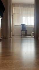 Interior room with wooden chair observed through doorway
