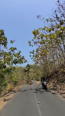 The video shows a first-person perspective of someone driving or riding on a paved road. The road is surrounded by dry, deciduous trees and vegetation, suggesting a dry season. There are some green trees, including a prominent coconut palm, scattered amongst the drier ones. The sky is clear blue. The camera is tilted upwards slightly, capturing the movement along the road and the surrounding foliage. The overall impression is a journey through a natural, somewhat arid landscape.