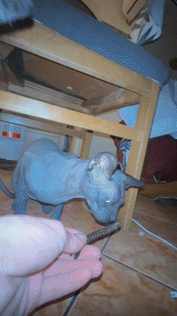 Woman documents evening routine with smartphone in Budva bathroom