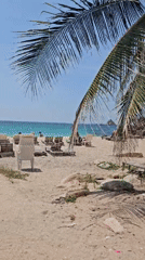 Morning beach scenes captured at Ko Tao's Ao Tanot Bay
