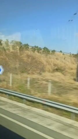The video shows a view from a vehicle moving alongside a road. On the left side of the road, there is a concrete barrier with some graffiti. Beyond the barrier is a dry, grassy embankment with some sparse vegetation. A power pole is visible near the embankment. Further to the right, the road curves. The landscape consists of dry, golden fields and scattered trees under a clear blue sky with a few clouds. Power lines are strung across the sky. There are no people visible in the video. The overall impression is of a rural or semi-rural environment during daylight.