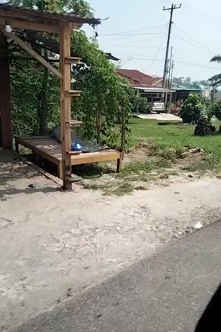 The video, filmed vertically, pans across a semi-rural landscape. The foreground is dominated by a cracked, dusty road or path. To the left, a palm tree stands tall, its fronds obscuring part of a house with a red-tiled roof. In the middle ground, a small structure, possibly a shack with woven walls and a wooden frame, is visible. Beyond this, trees and more houses can be seen, along with a utility pole and wires. A yellow truck with blue and red stripes is partially visible on the road. The sky is overcast. The camera movement suggests a person is walking or riding along the path, documenting their surroundings.