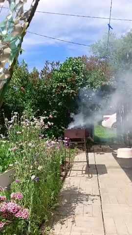 The media file captures an outdoor scene in Vyazovka, Russia, on a sunny day. The foreground features a vibrant display of pink and purple flowers, with lush green foliage surrounding them. A camouflage net hangs in the upper left portion of the frame, adding a textured element to the visual.

In the middle ground, a charcoal grill is set up, emitting a plume of white smoke, indicating that something is being cooked. The grill is positioned on a paved pathway, bordered by the flower bed. Behind the grill, a white car is visible in the background, partially obscured by trees. The overall setting suggests a backyard or garden area, likely a recreational space.

The time of day appears to be daytime, given the bright sunlight casting shadows on the path. The sky is clear with a few scattered clouds, suggesting pleasant weather for outdoor activities. There is no visible text within the media file. The scene evokes a sense of relaxation and enjoyment, possibly a barbecue or gathering. The presence of the grill and the smoke suggest an ongoing cooking activity.