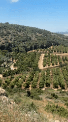 Hillside landscape views documented above Zikhron Ya'akov, Israel