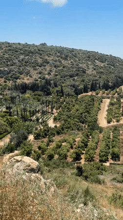 Hillside landscape views documented above Zikhron Ya'akov, Israel
