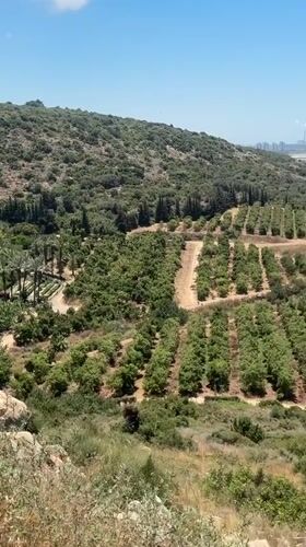 Hillside landscape views documented above Zikhron Ya'akov, Israel