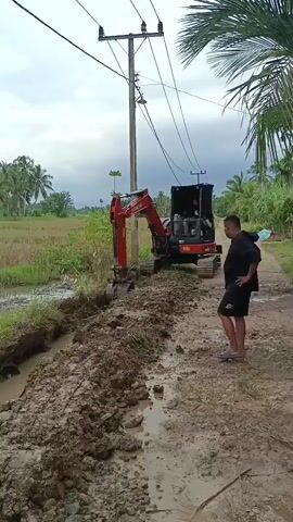 A red and black Hitachi mini excavator is digging a muddy trench next to a dirt road. A man wearing black shorts and a black shirt stands on the road, watching the excavator. To the left of the excavator is a rice paddy with green plants. A utility pole with wires stands behind the excavator. Palm trees and other vegetation are visible in the background under a cloudy sky.