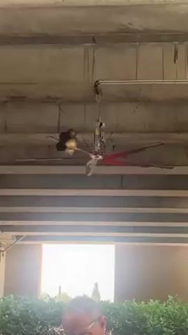 Okay, here's a concise description of the video:

The video shows a large, industrial-style ceiling fan suspended from a concrete ceiling, likely in an outdoor covered area like a parking garage or similar structure. The fan has several silver blades and a red motor housing.  A cluster of rounded objects (possibly lights or sensors) is also attached to the fan. The fan is rotating, although the speed is not evident. In the foreground and partially obscuring the view is the top of a person's head with short gray hair. A small section of green shrubbery is visible near the bottom of the frame.  The background suggests daylight.
