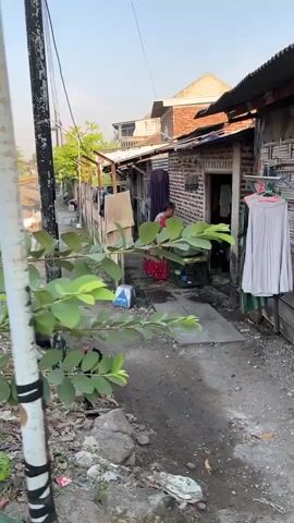 The video shows a narrow outdoor alleyway next to brick and corrugated metal structures. A person in a red and white patterned dress is visible in the background near an open doorway. Laundry is hanging on a clothesline to the right of the doorway, and another piece of clothing is hanging on a rack in front of the structure. A plant with green leaves is in the foreground, and the ground is covered in dirt, rocks, and some debris. The sky is visible above.