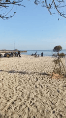 Casual beach day at Dalegan — tubes, jet skis, and shoreline play