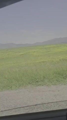 The video shows a view from a vehicle of a vast green field with some yellow flowers. In the distance, mountains are visible through a haze. A dirt road runs along the bottom of the frame. A utility pole is visible in the field.