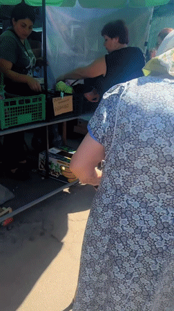 Morning market activity observed in Poltava, Ukraine