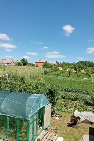A wide shot shows a sunny rural landscape with a clear blue sky and scattered white clouds. In the foreground, a small, light-colored building with a green roof has a large white water tank on top. To the left and in front of this building are two greenhouses with translucent covers. Beyond the building, a cultivated field stretches uphill, featuring rows of green crops and several trees. In the middle ground, a person is visible inside one of the greenhouses. A fence runs horizontally across the field. In the background, more trees and houses are scattered across the undulating terrain.