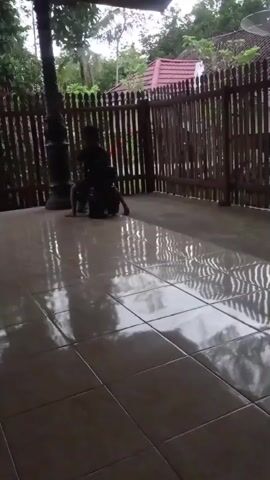 A child sits on a toy motorcycle on a tiled patio. The child is wearing dark clothing. The motorcycle is black. Behind the child is a wooden fence. Trees and part of a house are visible behind the fence. The tiles on the patio are wet and reflective.