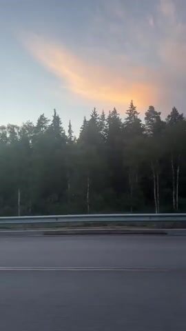 The video shows a highway with a forest in the background under a pale pink and orange sky. A metal guardrail runs along the edge of the highway. A black car is seen driving past the camera from the right side of the frame to the left. The car's headlights are on. The camera is also moving, capturing the scene from a stationary viewpoint as cars pass by.