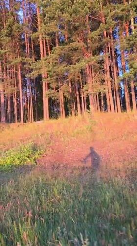 Golden hour along the Chaikovsky waterfront and wildflower trails