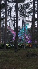 Illuminated Art Installations Light Up Da Lat Forest and Lake