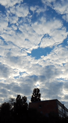 Cloudy skies with birds and buildings observed early morning