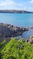 Clifftop views of Sozopol's turquoise coastline, Bulgaria