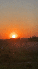 Orange sunset observed over pedestrian crossing in Murino, Russia
