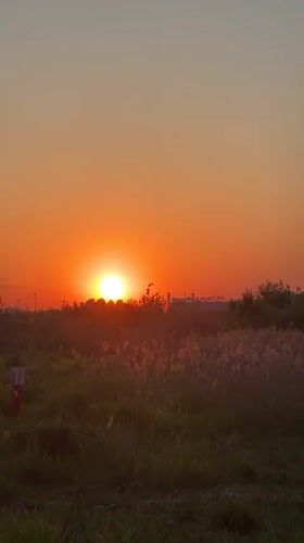 Orange sunset observed over pedestrian crossing in Murino, Russia