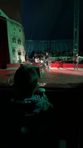 Here is a detailed description of the video:

The video shows a scene from a circus performance, viewed from the perspective of a child seated in the audience. In the foreground, the back of the child's head is visible. The child is wearing a dark-colored jacket. In the background, a circus ring is lit with changing colors of light. In the center of the ring, a performer is seated on a motorcycle, facing the audience. To the right of the motorcycle rider, another performer is standing with their arms outstretched. A seated audience is visible behind the circus ring.  To the left of the ring, a backdrop with a castle design is present. The camera is static throughout the video.