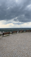 Casual documentation of Plovdiv parks, cats, and landmarks