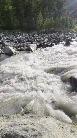 A fast-flowing river with white water rushes over rocks. The riverbed is filled with gray and white stones, and a rocky bank is visible to the left. Trees and vegetation grow on the slope behind the river. The lighting suggests it is daytime.