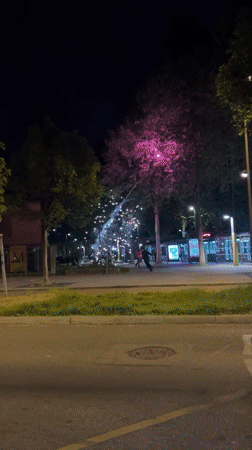 Fireworks light up public area in Strasbourg