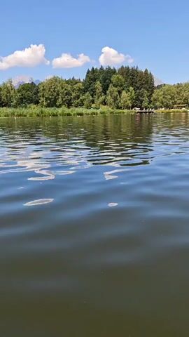 A video shows a body of water with ripples under a blue sky with scattered clouds. The shoreline is visible in the background, lined with trees and some buildings. A mountain range can be seen in the distance. The camera appears to be moving, possibly from a boat, giving a dynamic perspective of the lake and its surroundings. The sun is shining, suggesting a clear and warm day.