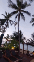 Dawn resort scenes captured across Ko Samui beaches
