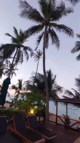 Dawn resort scenes captured across Ko Samui beaches