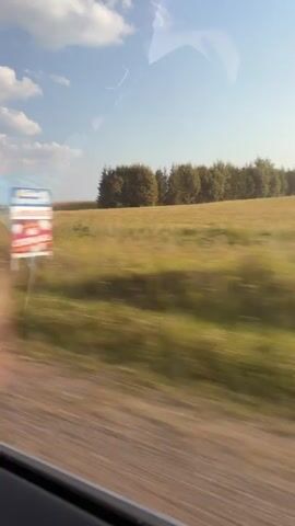 The video shows a blurred view from inside a vehicle traveling on a dirt road. The scenery outside consists of a vast, open field with tall grass and scattered trees under a blue sky with white clouds. The camera is pointed out the window, capturing the motion of the landscape. Reflections from inside the vehicle, such as a person's arm and head, are visible on the glass. The overall impression is one of a journey through a rural or natural environment.