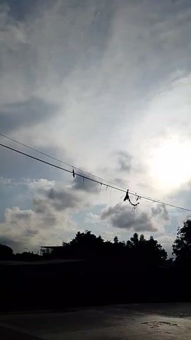 The video shows a view of the sky, mostly cloudy with the sun shining through. There are power lines visible, along with some foliage on the right side of the frame.