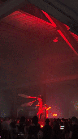 Nightclub performance captured in Belgrade, Serbia Friday evening