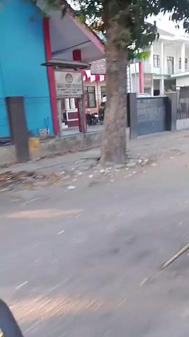 The video shows a street scene from the perspective of someone moving. There are buildings on both sides of the street, some appearing to be commercial or institutional, with white and red paint schemes. A large, blue truck with a colorful graphic is driving on the right side of the street. The road appears to be paved and there are some plants and trees visible.