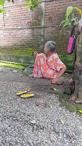 The video shows an elderly woman sitting on a swing tied to a tree. She's wearing a colorful patterned dress and has her grey hair tied back. She appears to be holding something in her hand. Her yellow sandals are lying on the ground nearby. The background features a brick wall covered in moss and a tree with a pink bag hanging from it. A bicycle with a grey basket attached to the front of it comes into frame. The ground is covered in small rocks.
