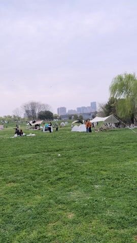 The video shows a green field with many people enjoying a day outdoors. There are tents and picnic blankets scattered across the field, suggesting a casual gathering or picnic event. People are seen standing, sitting, and walking around. In the background, there are trees and a cityscape with several buildings. The sky is overcast, and there appear to be some kites flying in the distance.