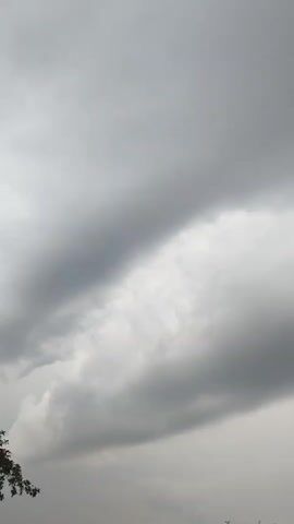 This media file captures a view of the sky, dominated by heavy, dark clouds. The lighting suggests it is daytime, likely late afternoon or early evening, with the overcast conditions creating a muted, somber atmosphere. The clouds are dense and varied in texture, with some areas appearing lighter and more diffused, while others are deep gray and foreboding. There is a sense of impending rain or a storm.

In the bottom left corner, the dark silhouette of tree branches is visible, indicating an outdoor setting, possibly a rural landscape in Belarus, given the provided location context. The rest of the image is entirely taken up by the sky, with no visible people or man-made objects. The overall mood conveyed is one of stillness and perhaps a touch of melancholy due to the heavy cloud cover. No text is visible in the media file.