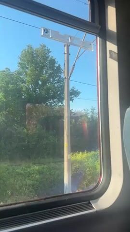 The video shows a view from a train window. The window has a dark frame and a curved shape. Outside the window, there is lush green foliage and trees. The sky is clear and blue. There are overhead power lines visible, and a utility pole with an orange light fixture. The sunlight is casting a shadow on the right side of the window frame. The train appears to be moving, as indicated by the slight blurring of the landscape.