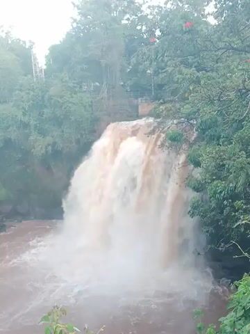 The scene showcases a waterfall cascading down a cliffside. Lush green vegetation surrounds the waterfall, adding to the natural setting. The water appears to be a murky brown color, suggesting sediment or soil content. The camera remains static, providing a stable view of the waterfall's power and its immediate environment. Overall, the video captures the raw beauty and force of the natural world.