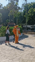 Exercise group with Tigger mascot gathers at Venezuela beach resort