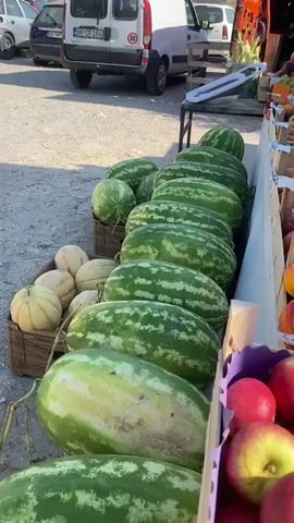 The video shows a roadside fruit stand with various fruits displayed for sale. In the foreground, there are crates overflowing with red apples and nectarines. Behind these, a long row of watermelons is neatly arranged. To the left, several melons are piled in a crate. In the background, vans are parked, and a variety of other fruits, including peaches and possibly grapes, are visible on tables and in crates. The scene appears to be outdoors, with a gravelly ground surface. The overall impression is of a vibrant, abundant fruit market.