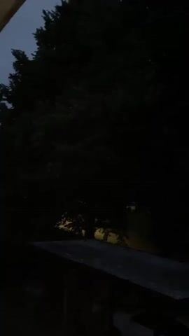 The video shows a dark outdoor scene with trees silhouetted against a slightly lighter sky. In the foreground, there is a dark, flat surface that appears to be the roof of a structure. There are faint lights visible in the background, possibly from a house or streetlights. The overall impression is that of twilight or early evening.